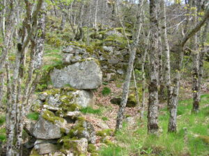 Cascade de Runes sur le sentier